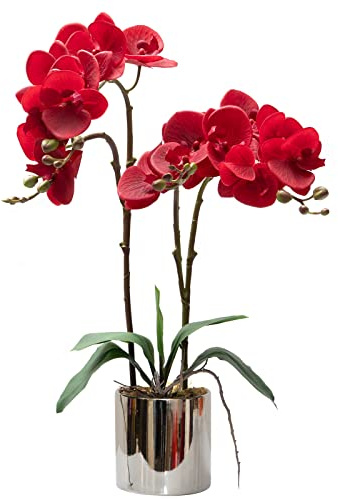 CXGS Artificial Orchid Flower Plant Real Touch Faux Orchids in Ceramic Vase Red 19.7'' Fake Phalaenopsis Flower Arrangement Centerpiece Home Indoor Decor