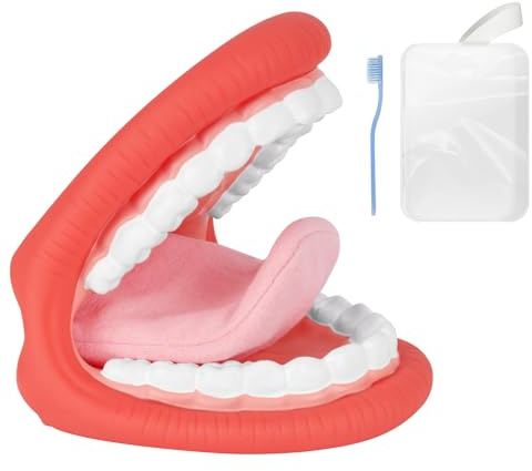 Ultrassist Grand modèle de démonstration de bouche avec langue pour l'hygiène bucco-dentaire et l'orthophonie, aide pédagogique dentaire avec brosse à dents