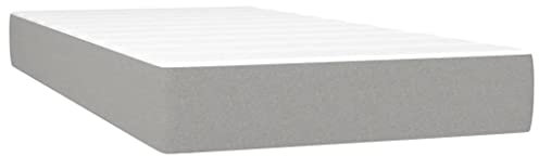 vidaXL Taschenfederkernmatratze Matratze Bett Matratzen Taschenfederkern Federkernmatratze Schaumstoffmatratze Hellgrau 100x200x20cm Stoff