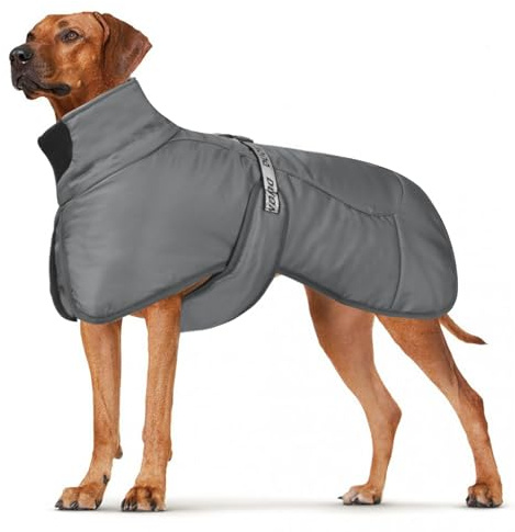 DoggieKit Abrigos para perros Impermeable prueba de viento Cálido Invierno Seguro Roscado Tiras reflectantes Chaqueta medianos grandes con arnés Orificio Cachorro Mascota Clima frío Traje Ropa Chaleco