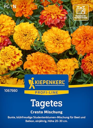 Kiepenkerl Tagetessamen Cresto Mischung 1067980 - bunte, blühfreudige Studentenblumen Mischung für Beet und Balkon - Pflanzen, Blumensamen, Saatgut