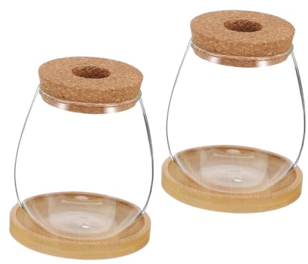 Toddmomy 2sets Hydroponic Glass Vase Creative Countertop Flower Pot for Kitchen Herb Display Aesthetic Glass Planter Stand for Indoor Plants