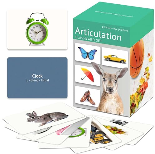 Picture My Picture Articulation Flash Card Set – Speech Therapy Tool for Vocabulary, Communication & Thinking, Scratch-Resistant with Activity Guide, Suitable for Education, ESL & ABA – Set of 210