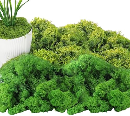 Kunstmoos zum Dekorieren 200g Kunstmoos Künstliches Moos Deko-Onserviertes Moos Farben/Echtes Konserviertes Haltbares Natur Moos Zum Moosbild Basteln/Deko Modellbau Osterdeko Deko Oder Zum Basteln