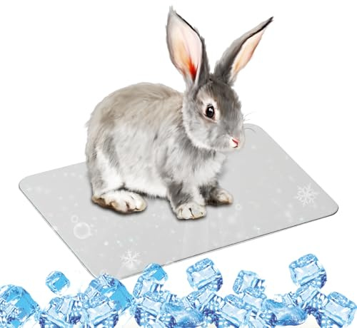 SilverChry Coussin de Refroidissement, 30 * 20cm Lit de Glace d'Été Rafraîchir, Plaque Refroidissement Aluminium Animaux, pour Rafraîchir Animaux Compagnie Tels Que Cochons d'Inde, Hamsters et Lapins
