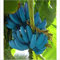 Germinazione I Semi: Banana Semi 200pcs Blue Banana Delicious Rare Fruit Musa Blu Java