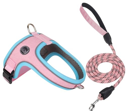 Dog Harness and Leash Set, No Pull Saddle Style Pet Harness, Breathable Mesh Adjustable Reflective Dog Vest for Dogs and Cat Medium Small Harness 2 D-Rings (Pink, XS)