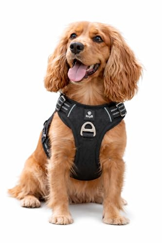 No Pull Dog Harness for Medium Dogs – Adjustable Padded Chest Harness with Front D-Ring & Reflective Stitching, Black – IzzyB Pet Products