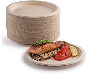 YIEN Lot 100 assiettes en carton super rigides 100 % biodégradables et compostables respectueuses l'environnement très résistantes recyclables, parfaites les pique-niques et barbecues (17,8cm)