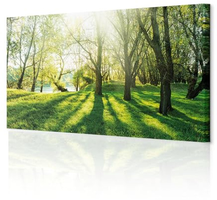 decomonkey Bilder Wald 150x50 cm XXL 1 Teilig Leinwandbilder Bild auf Leinwand Vlies Wandbild Kunstdruck Wanddeko Wand Wohnzimmer Wanddekoration Deko Natur Landschaft