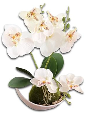 Molyorch Flor Artificial para la decoración, Orquídea Phalaenopsis Blanca, Flores Artificiales Decorativas con Maceta Ramo de Hortensias con Jarron de Ceramica para Sala, Oficina, Jardín