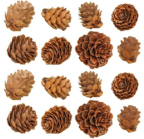 Amosfun 100 coni per fai da te, 1 – 2 cm, pigne di pino, pigne naturali, pino, albero di Natale, decorazione fai da te, decorazione autunnale