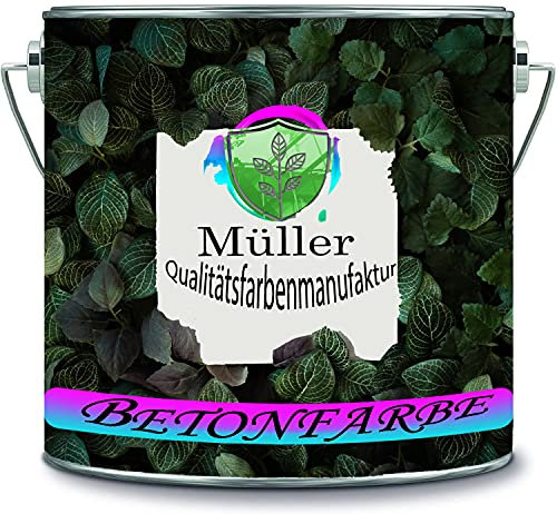 Müller Qualitätsfarbenmanufaktur Vernice per cemento, per pavimenti, per interni e interni, in resina epossidica (2,5 kg, grigio cemento Ral 7023)