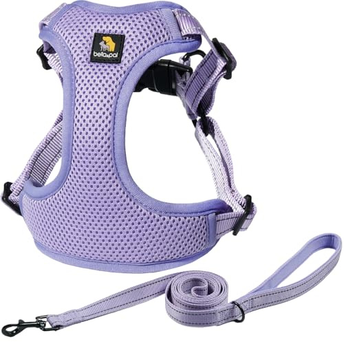 BELLA & PAL Arnés y Correa para Perro, Arnés Ajustable, Chaleco Anti-Tirón para Perro XS/Pequeño/Mediano, Malla Transpirable con Bandas Reflectantes, Hebilla, Doble Anillas en D