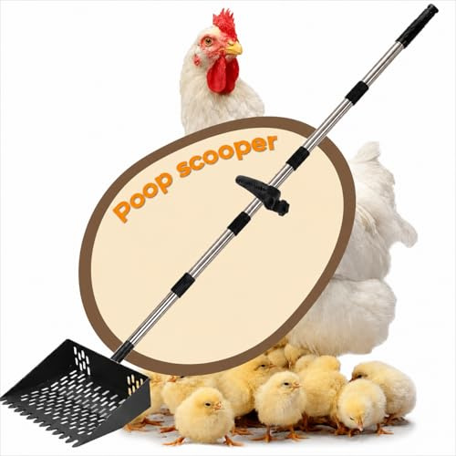 Pala para excrementos de pollo con mango, 25 cm de ancho, pala colador de acero inoxidable, pala telescópica de 160 cm, gallinero, accesorios para caballos, cerdos y animales pequeños, pala colador de