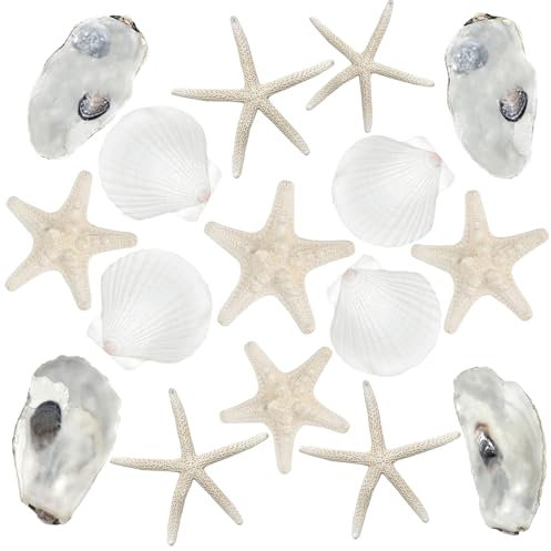 Fangoo 16Pcs Large Starfish and Scallop Shells for Crafts 7-10cm Large Natural Scallop Shells Oyster Shells Starfish for DIY Painting Baking and Beach Wedding Decorations White Christmas Decor