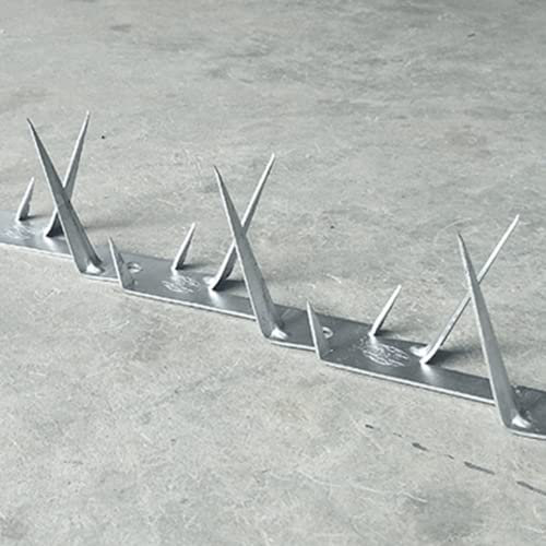 Chiodi a spina in acciaio inossidabile, balcone antifurto zincato, chiodi a spina anti-arrampicata, lamiera di ferro spinato-Chiodi a spina media zincati 1,25 m