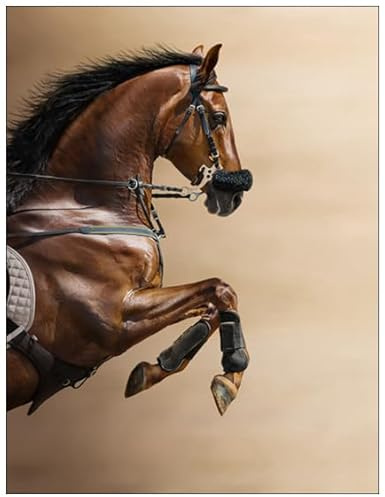 Subently DIY 5D Diamond Painting Kits Full Drill for Adults,Chestnut Jumping Horse Diamond Art Kits,Handicraft Art,for Holiday Gifts Paintings Home Wall Decor,12x16 Inch