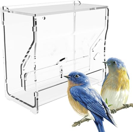 Distributeur de nourriture pour cailles - Mangeoire à eau pour poulets - Distributeur d'eau pour oiseaux, perruches, cage pour animaux de compagnie, conteneur de nourriture pour petites volailles et