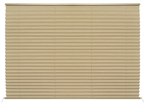 RV Blinds Shades for Camper Window, RV Pleated Shades Camper Blinds for Travel Trailers Motorhome Motor Coach-50 W x 38 L
