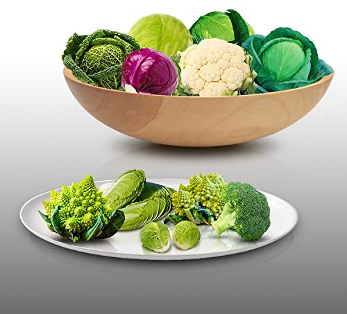 Lot de 950 graines à semer - Le Grenier d'Abondance - Fan de Choux - 10 sachets individuels