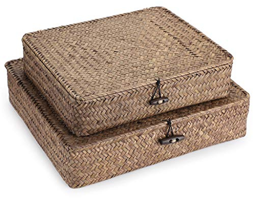Hipiwe Juego de 2 contenedores planos de mimbre tejido con tapa, cesta de hierba marina natural, cajas multiusos para el hogar para organizador de estantes (café)