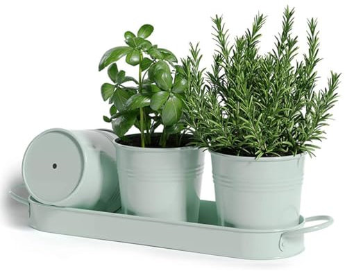 BSTMOME Kräutertopf Pflanzgefäß Set mit Tablett, dekorative Metall Sukkulenten Töpfe Fensterbank Pflanzgefäß Töpfe Blumentopf für Innen Garten Outdoor Küche Grow (Grün)