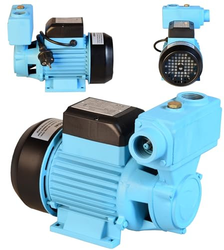 Pompe à Eau WZP 750 (750 W, 3000 l/h, hauteur max. 55 m) – Pompe de Surface - Pour Eau Propre - Pompe d’arrosage, Pompe de Jardin, Pompe d'irrigation
