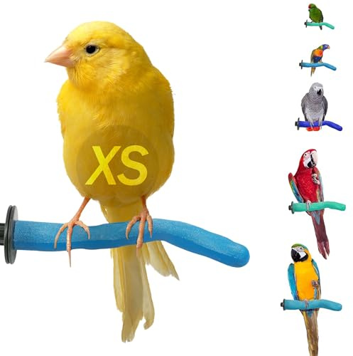 Sweet Feet & Beak Safety Pumice Bird Perch, X-Small 1/2 X 6, Blue - Lightweight Grinding Bird Perches for Cage - Bird Nail Trimming Perch for Healthy Beak & Feet - Multi-Size & Color Parrot Stand