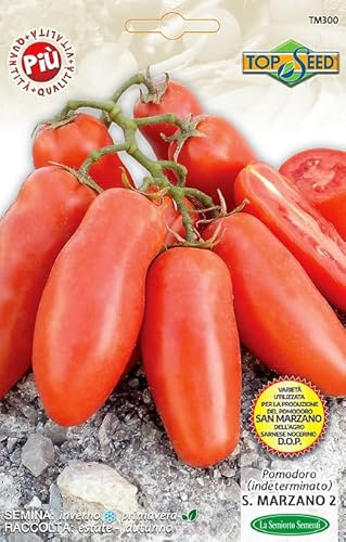POMODORO SAN MARZANO (frön av högsta kvalitet) Det bästa av fröet för de bästa producenterna - NO GMO - 4 gram