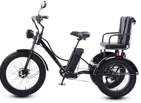 Triciclo elettrico per adulti 24 a 3 ruote, pneumatici larghi per una dimensione da 170 a 190 cm, sedile multifunzione, schermo LCD e faro, telaio robusto in acciaio al carbonio per città e strada.