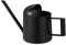 Miuse 300ml Bonsai Watering Can, Stainless Steel Plant Flower Long Spout Sprinkling Pot Mini Watering Pot for Home Use Bonsai Indoors(Black)