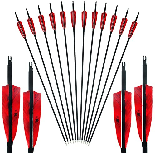 30/31 Pouces Flèche en Carbone Tir à l'arc 4 Plume Spine 400/500 Flèches d'entraînement Match Chasse pour 25-60 Livres Arc Classique Long Traditionnel et Arc à Poulies 12Pcs (30 Pouce,Spine 400)