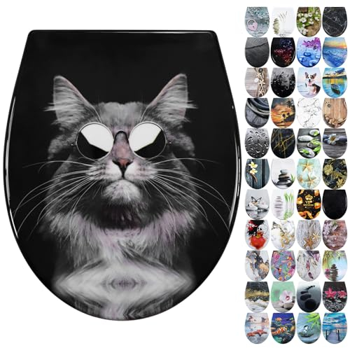 Fanmitrk Duroplast Toilet Seat Soft Close -Quick Release Toilet Lid with Top Fixing,Various Patterns to Choose from (UF819-56)