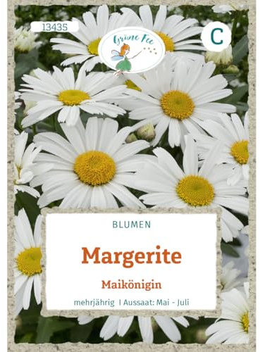 Grüne Fee - Margerite Maikönigin Samen - 13435
