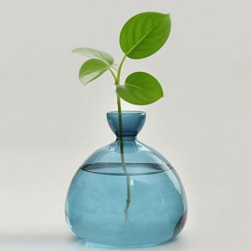 QSLKI Vase À Fleurs D'avocat en Verre, Kit De Croissance Hydroponique, Pot De Démarrage De Graines D'avocat, Culture D'avocat, Cadeau pour Les Amateurs De Jardinage, Décoration De Table (Bleu)