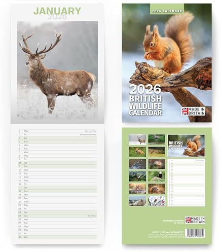 Calendar 2026 Slim – British Wildlife Wall Calendar – 2026 Calendar with Nature & Animal Photography – Countryfile Style Scenic Calendars 2026, Month to View Organiser for Home & Office