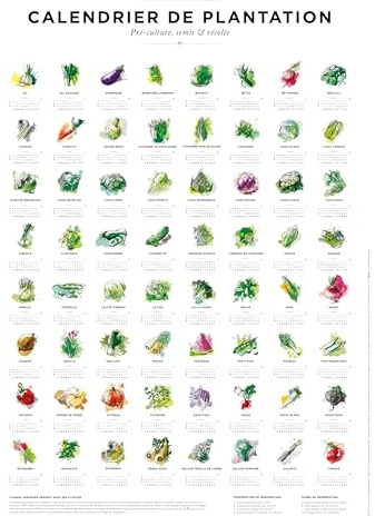Calendrier de plantation et des semis pour le jardin au format 30x40cm, périodes de semis pour 64 légumes différents sous forme de poster