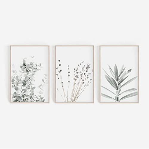 ZOYIEP 3er Poster Set Wohnzimmer - Bilder Deko Schlafzimmer - Lavendel Eukalyptus Pflanze Stilvolle Wandbilder - ohne Bilderrahmen (21 x 30 cm)