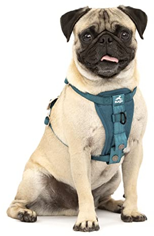 Kurgo Tru-Fit Harnais de sécurité pour Voiture pour Chiens, avec Plastron rembourré et Anneau en D, avec Ceinture de sécurité pour Voiture, Taille XS, Bleu Encre