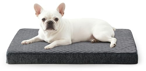 JOEJOY Cuccia Cane Interno Taglia Piccolo, Cuccia per Cani Ortopedico, Letto per Cani Impermeabile Sfoderabile e Lavabile, Cuscino Cane, Base Antiscivolo, Grigio, 58x44x7.5cm