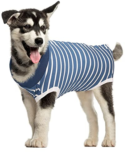 MI CASA Dog Recovery Suit Spay Suit for Female Male Dog Bodysuit After Surgery Onesie for Surgery Pet Vest Substitute Recovery Collars (Blue Striped, M)