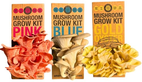 Smart Mushrooms Growing kit Gold Oyster XL - Harvest in 14 Days - Growth Guaranteed - Ideal Mushroom Gifts Foodie/Gardening Fun, Easy & Delicious | Grow Your Own Oyster Mushrooms