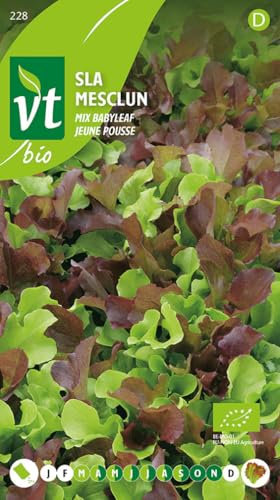 Laitue Jeune pousse Graines - Mélange de laitues à feuilles vertes et rouges