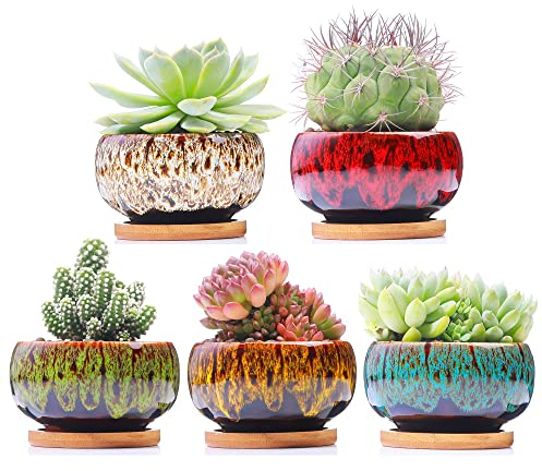 LAMDAWN Graziosi vasi da giardino in ceramica per piante grasse, fioriera con drenaggio e piattino attaccato, set di 5 piante non incluse (rotonde)