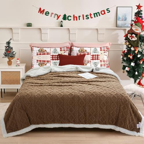 QOFLY Kuscheldecke Flauschig 150x200, Braun Dicke Warme Sofadecke Wohndecke kuschelig für Herbst und Winter, XL Sherpa Decke Couchdecke Überwurf Zweiseitige Fleecedecke