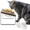 GUUSII HOME Gamelle pour Chat Surélevée Ceramique Ergonomique Chiots d'intérieur en Bois Mangeoire Inclinée avec 4 Bols 15° Support incliné Anti Vomissement Facile à Assembler(Marron)