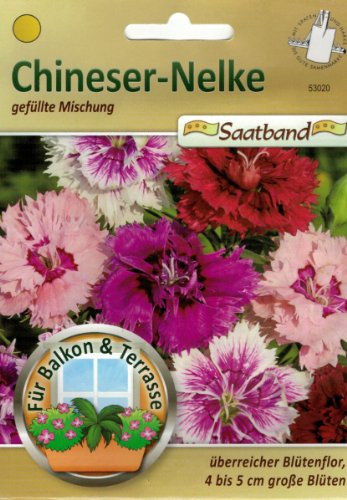 Chineser Nelke gefüllte Mischung Saatband für Balkon & Terrasse überreicher Blütenflor 4-5 cm große Blüten 53020