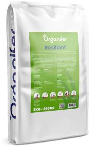 Graines De Gazon Pour Pelouses De Jeu À Germination Rapide (5 Kg - 250 M2) Organifer - Semences De Pelouse - Graines De Gazon Pour Pelouses De Sport Et Pelouses De Jeu - Certifié Nak