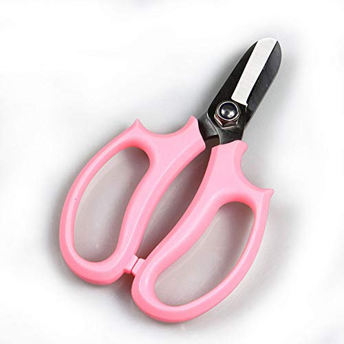 Tijeras florales tijeras de podar floristería flores herramientas de jardinería tienda de flores con sabor a fruta tijeras flor de corte
